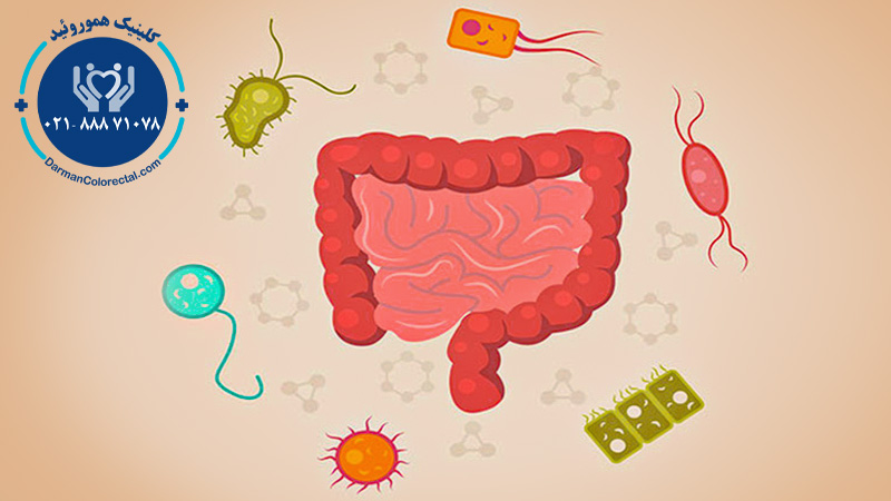عکس باکتریهای روده